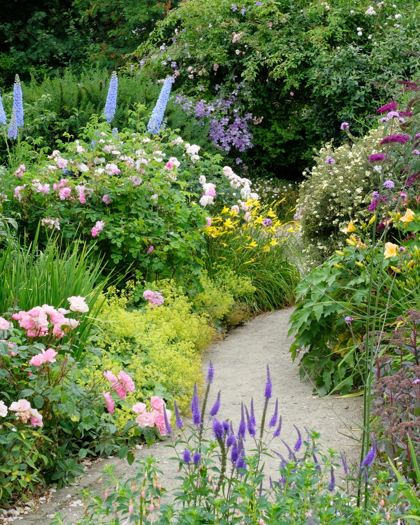 Richly Planted Flower Garden