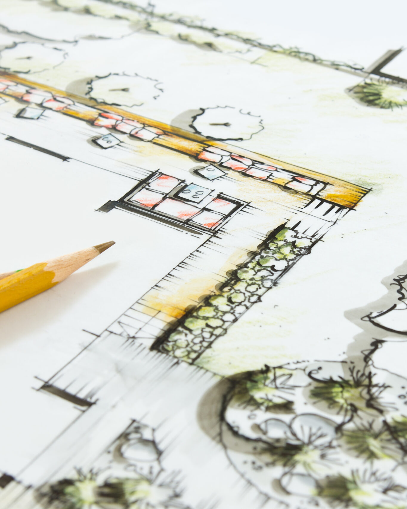 Landscape graphic Drawing